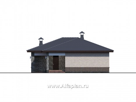 Проекты домов Альфаплан - «Алазея» - просторный одноэтажный дом с сауной и террасой - превью фасада №4