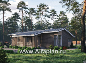 «Алладин» - проект одноэтажного дома, мастер спальня, с террасой и красивым потолком гостиной со стропилами